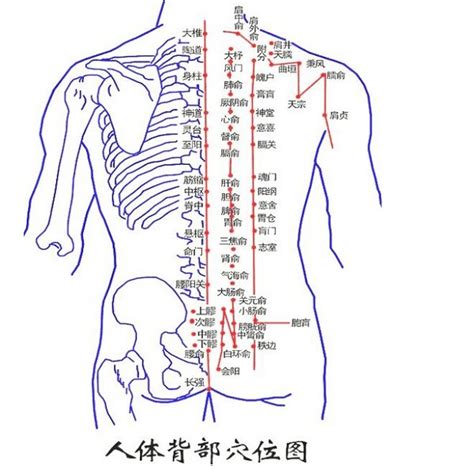 脊椎有痣|背部有痣图解大全 背部有痣的人看命运